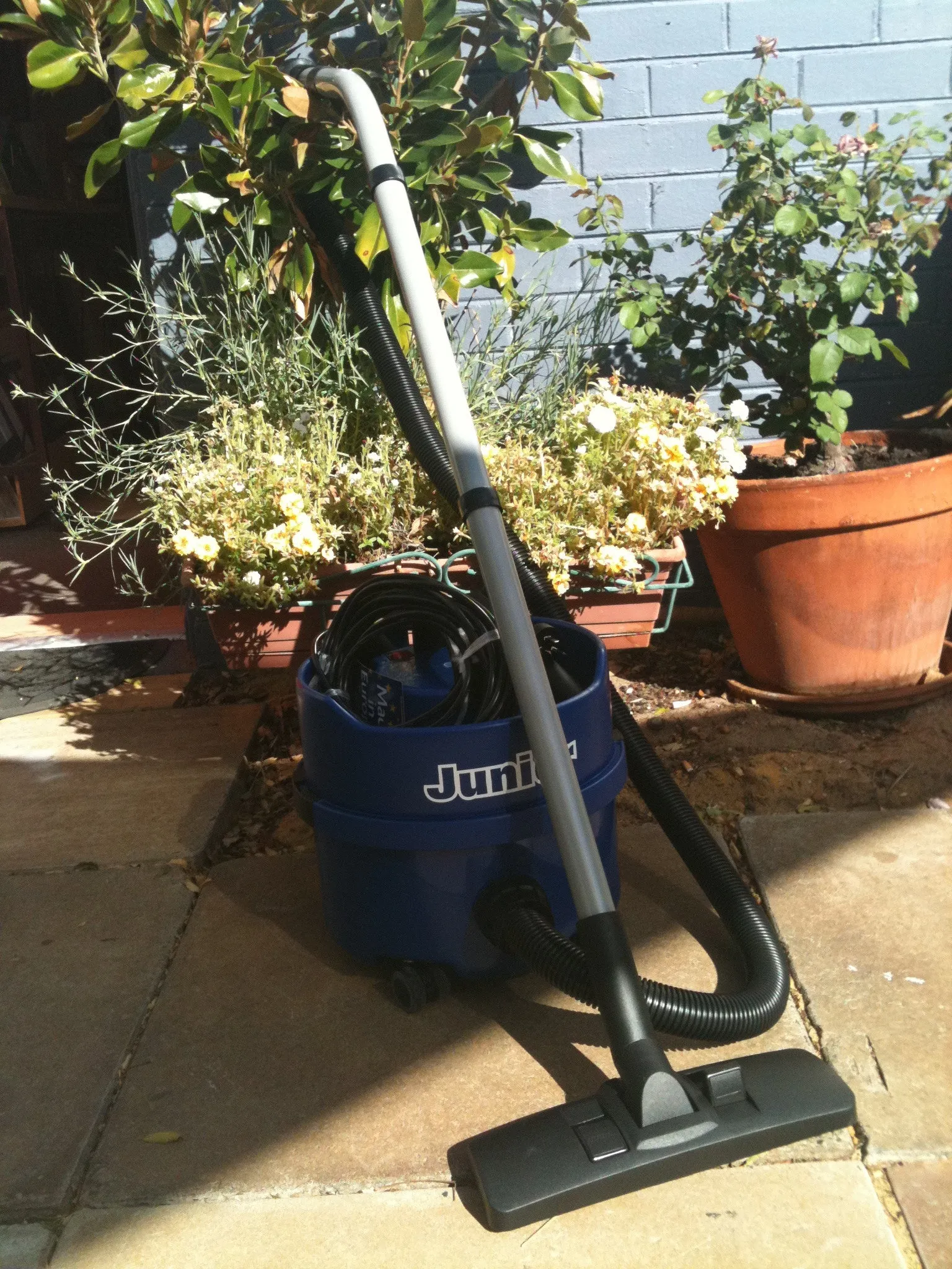 Junior by (Numatic) Dry Commercial Vacuum Cleaner PSP180 Replaced By James in Blue!