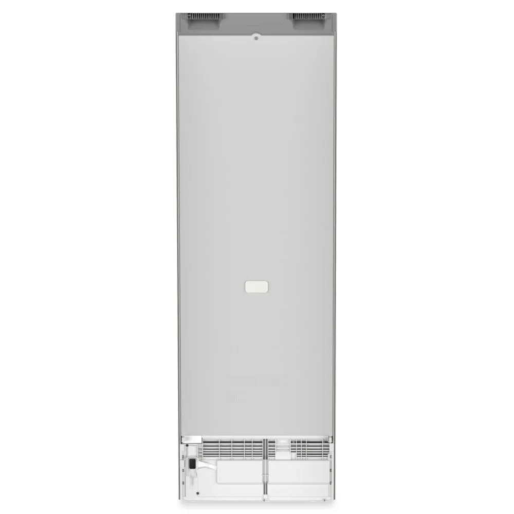 Liebherr Plus RDSFE5220 Freestanding Larder Fridge - Silver - E Rated